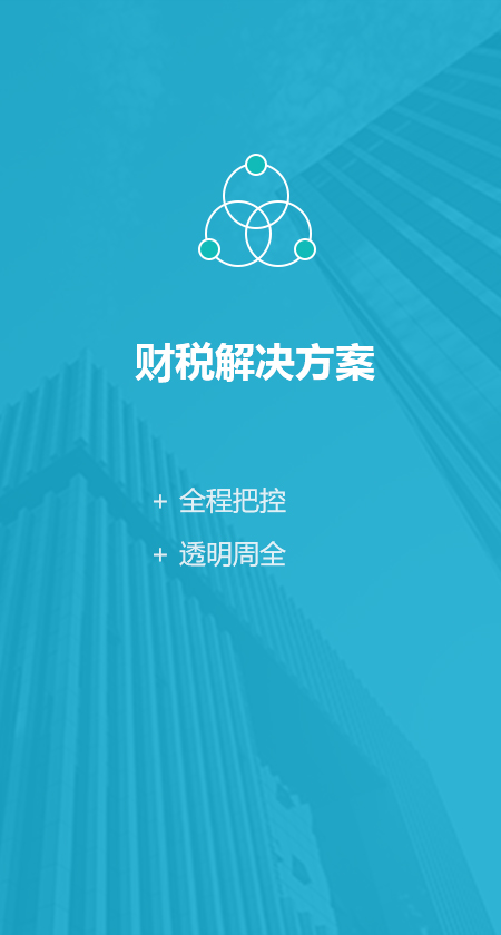 解决方案-财税